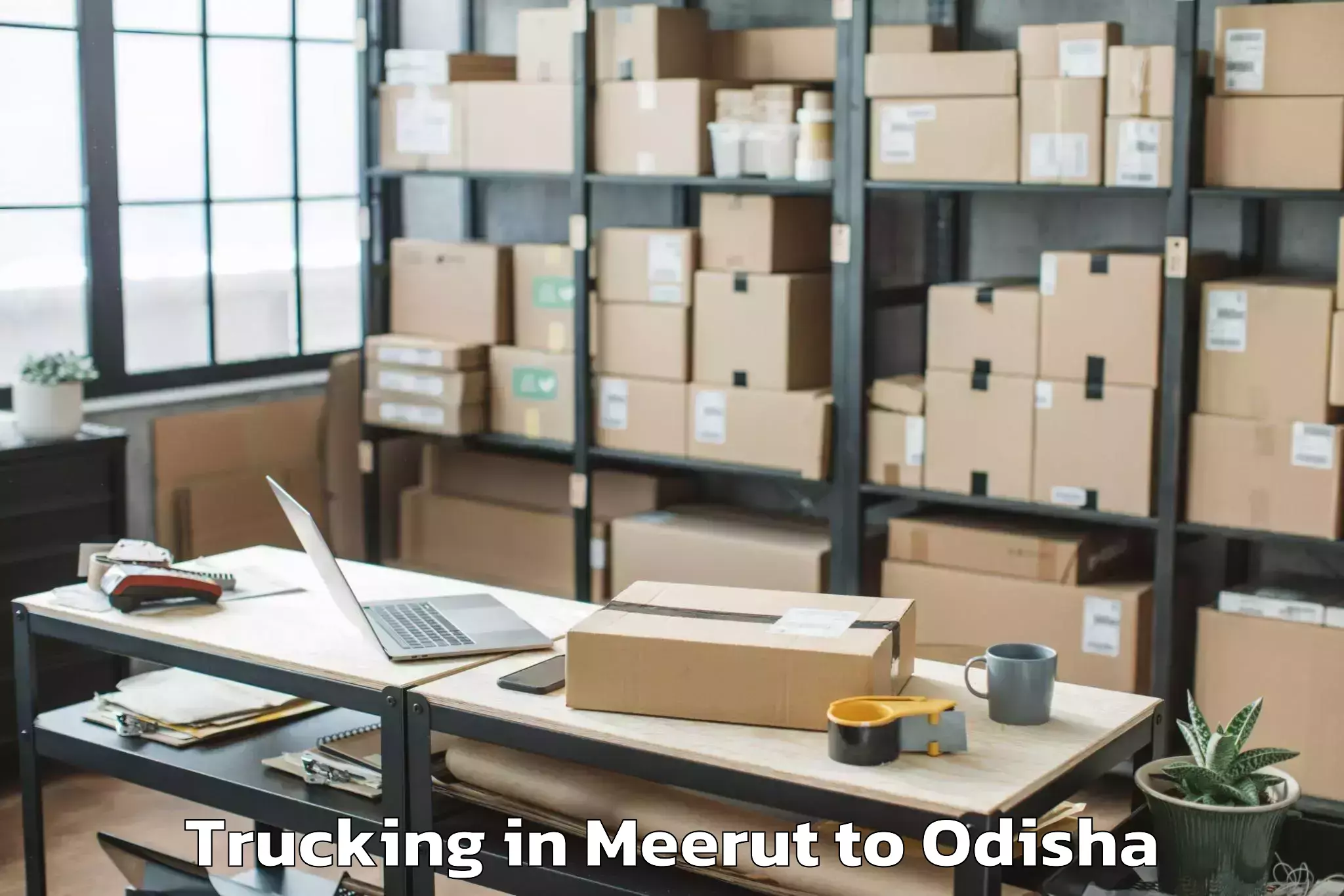 Hassle-Free Meerut to Hinjilikatu Trucking